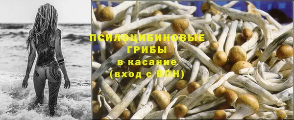 мескалин Елизово