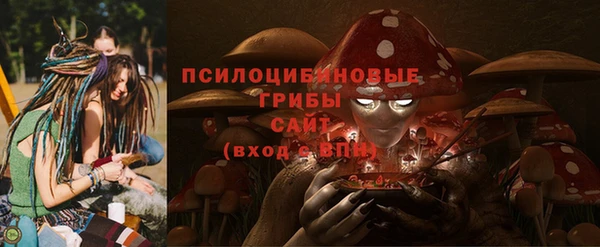 марки lsd Ельня