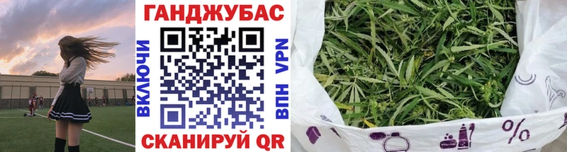 Конопля сатива  Курганинск 